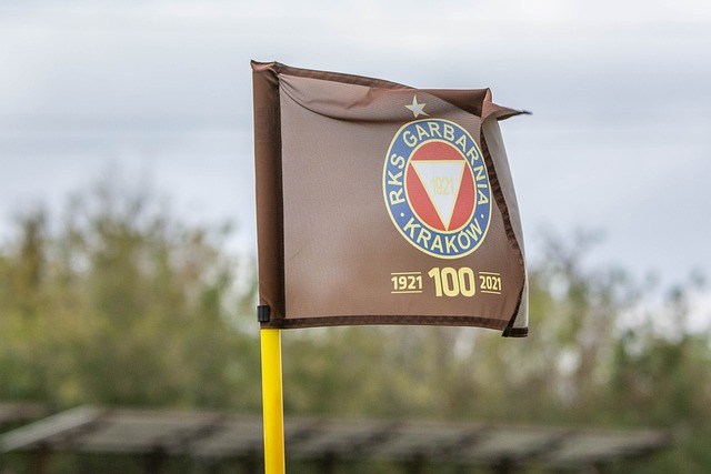 名巴西足球 名巴西足球