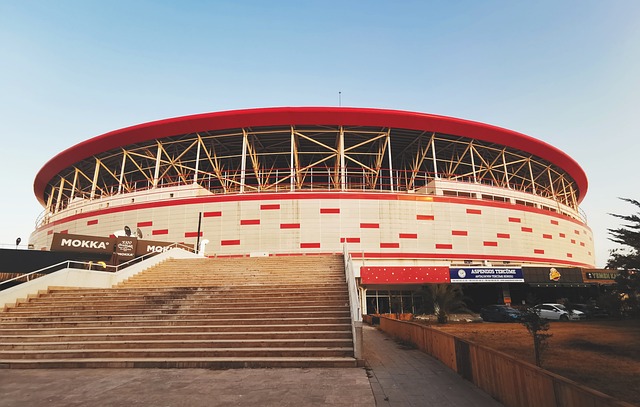 在这种情况 在这种情况