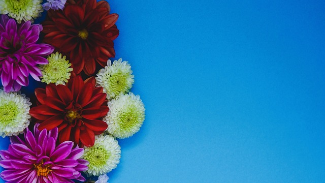 其视为榜样 其视为榜样