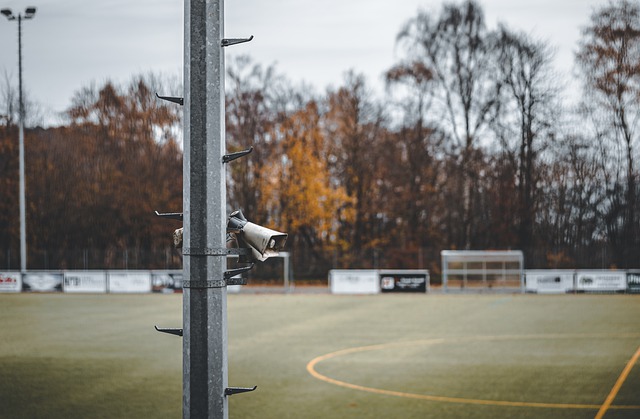 能够更好地 能够更好地