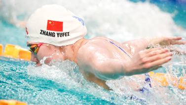 他们未来的 他们未来的