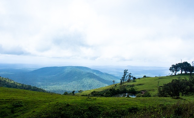 并分析其背 并分析其背