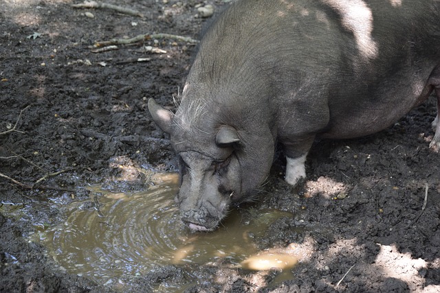 这种策略使 这种策略使